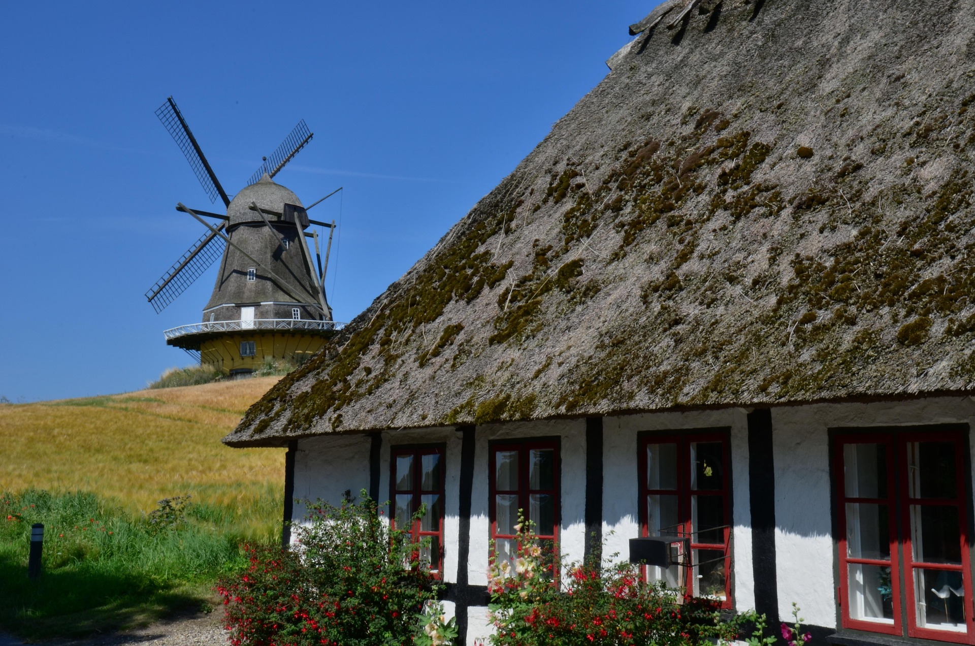 Sommerferie i DK Sommerferie i DK
